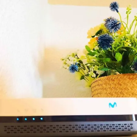Ayf Playa La Concha Moderno Con Wifi Apartamento